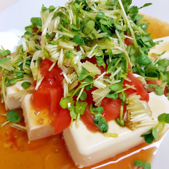 簡単ヘルシー!トマトと貝割れのゴマ風味豆腐サラダ♪